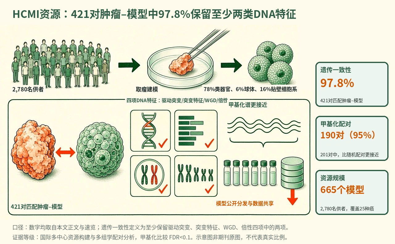 机制示意图