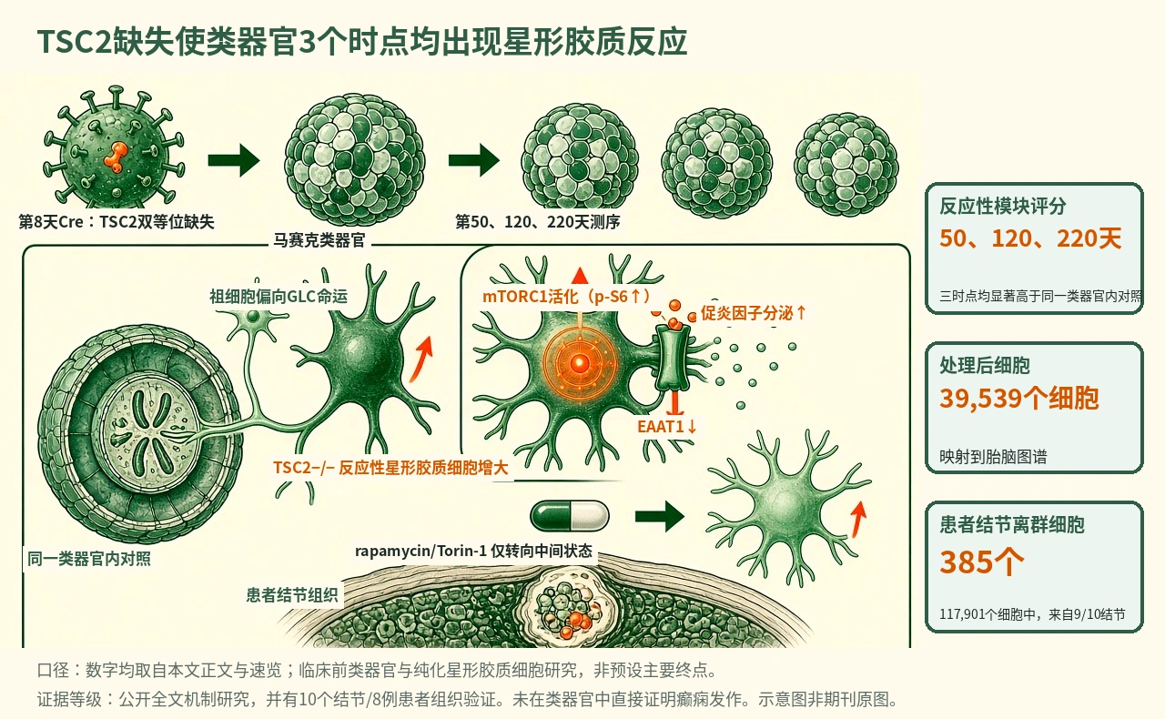 机制示意图