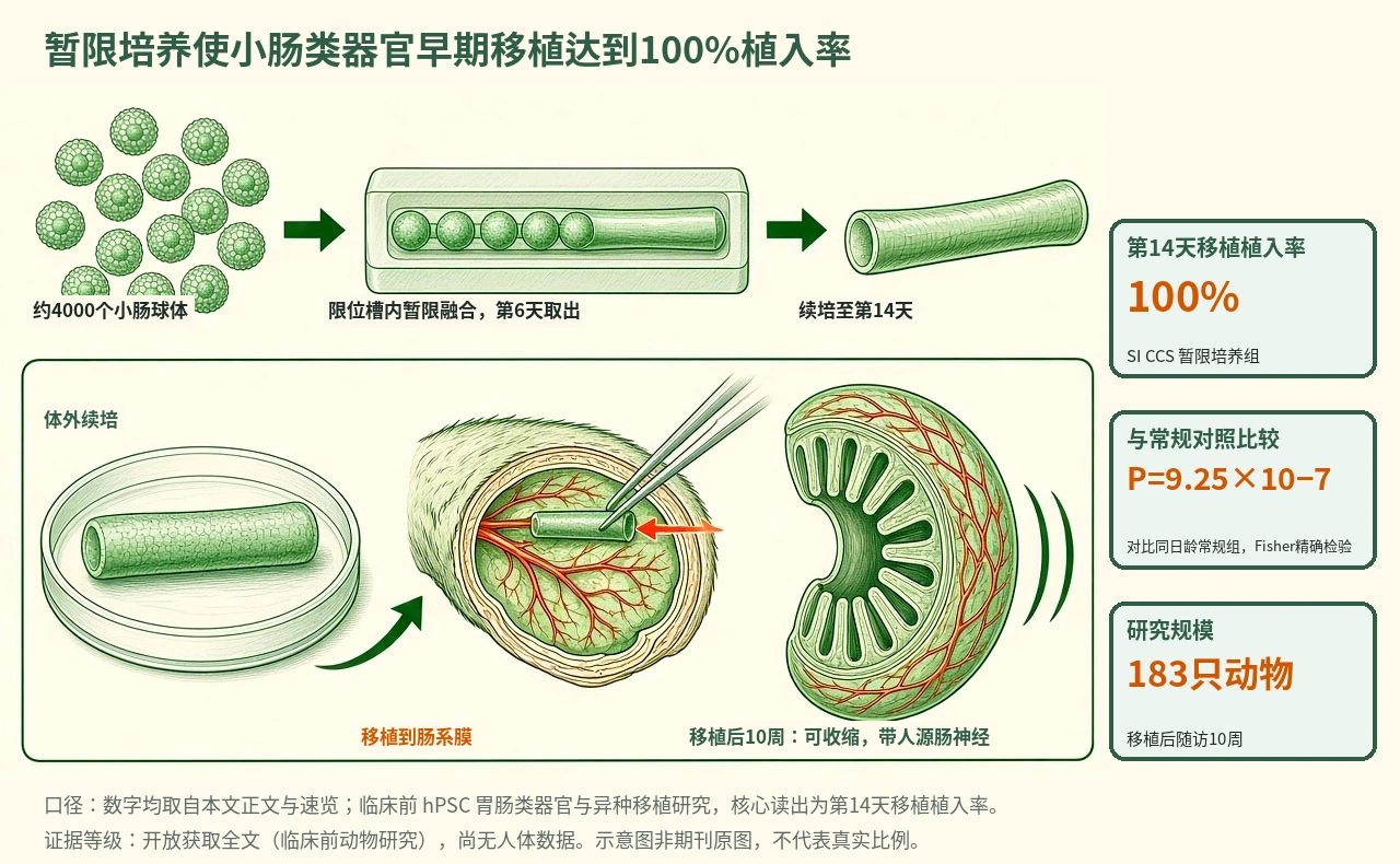 机制示意图