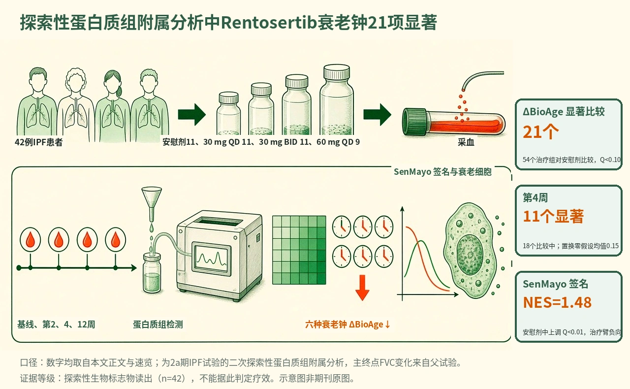 机制示意图