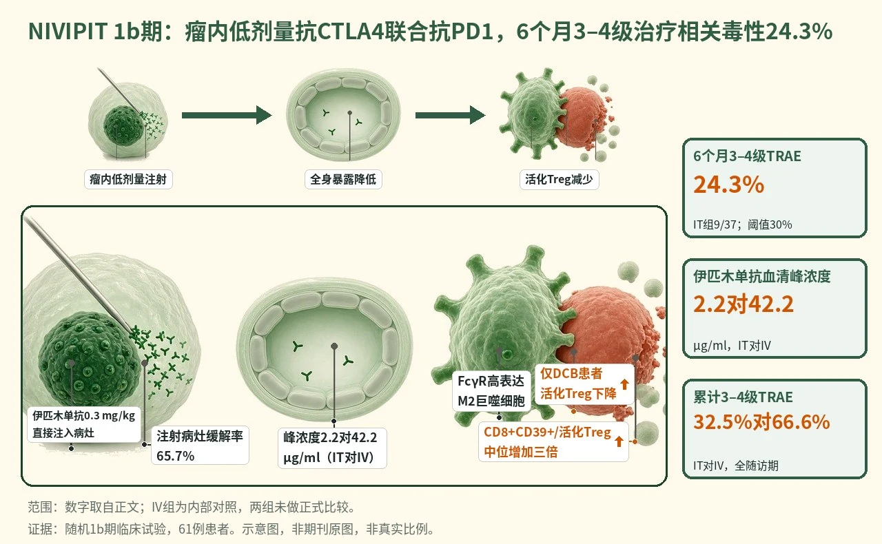 机制示意图