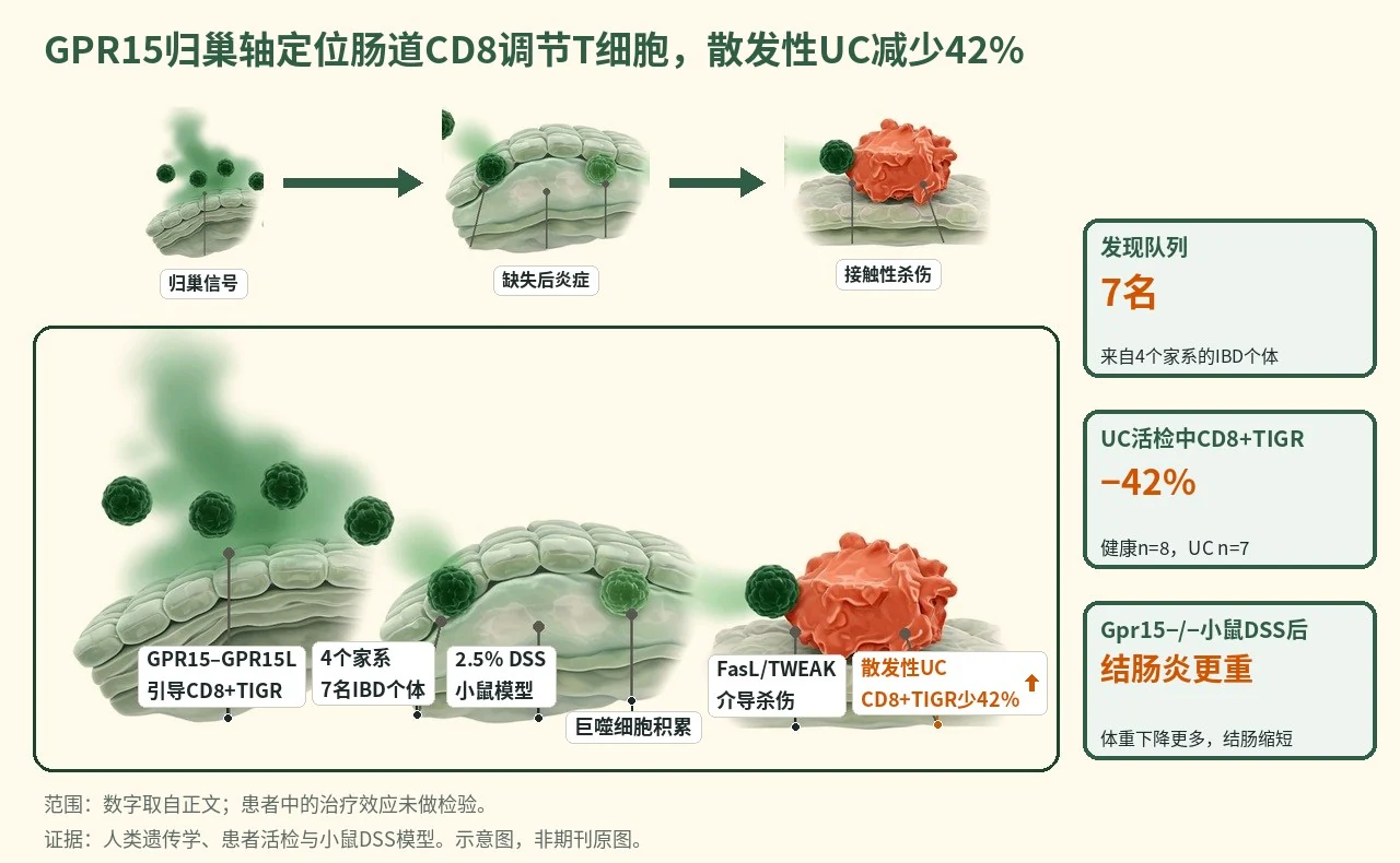 机制示意图