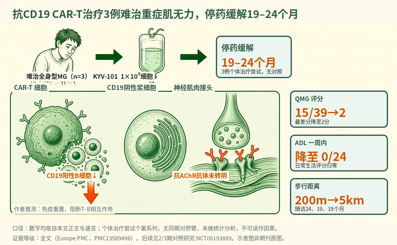 机制示意图