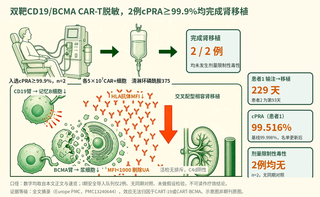 机制示意图