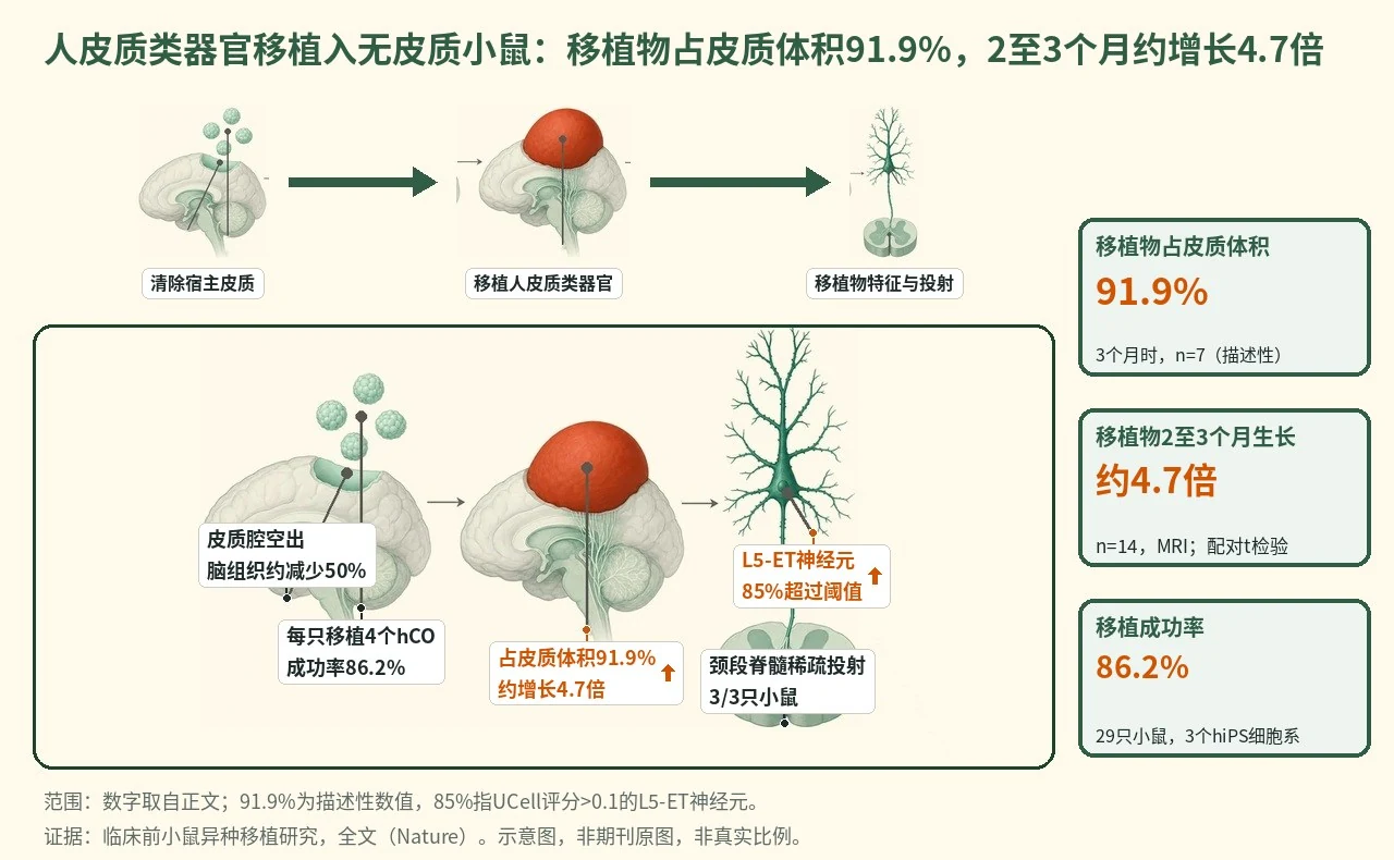 机制示意图