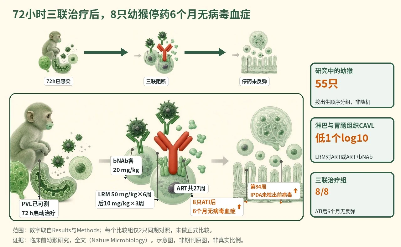 机制示意图