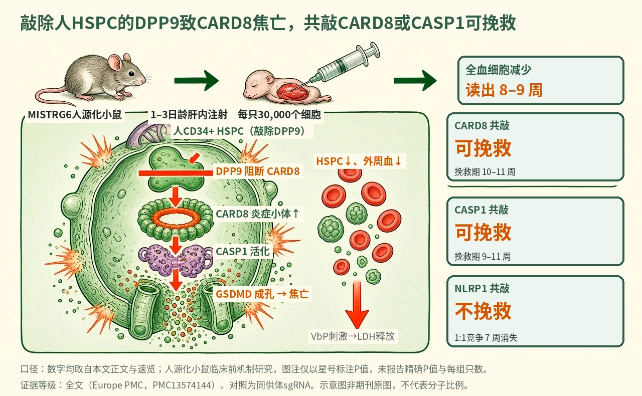 机制示意图