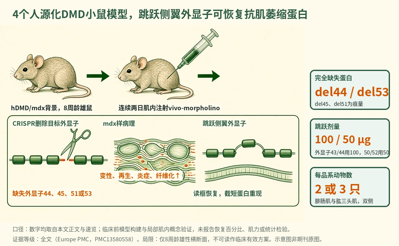 机制示意图