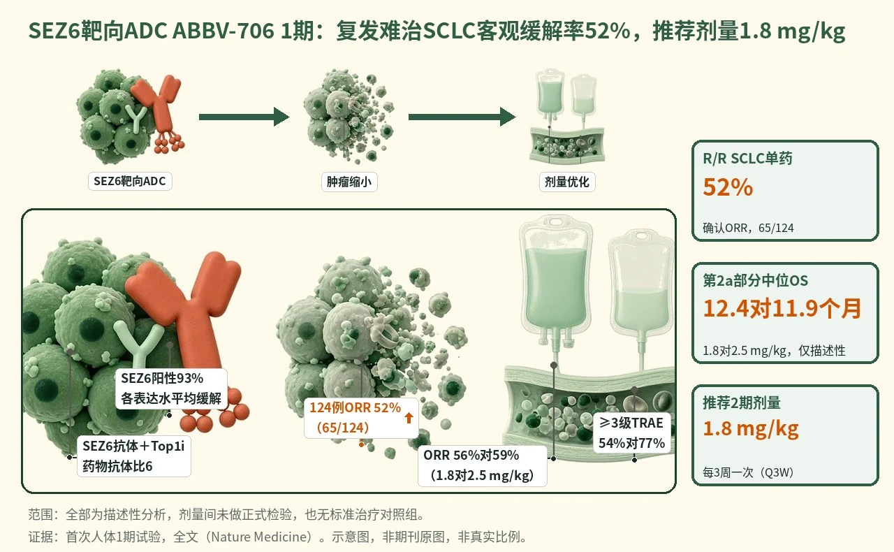 机制示意图