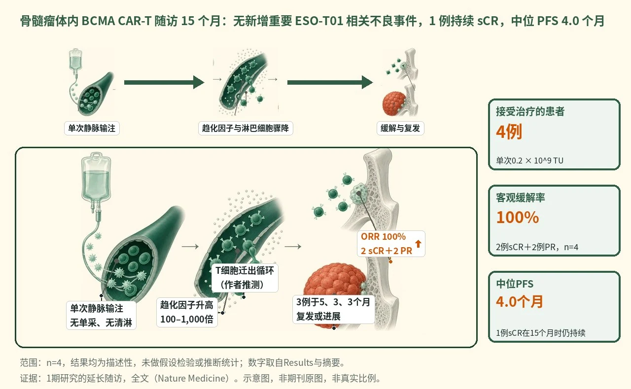 机制示意图