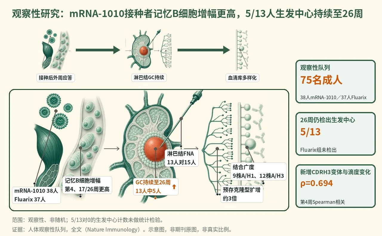 机制示意图