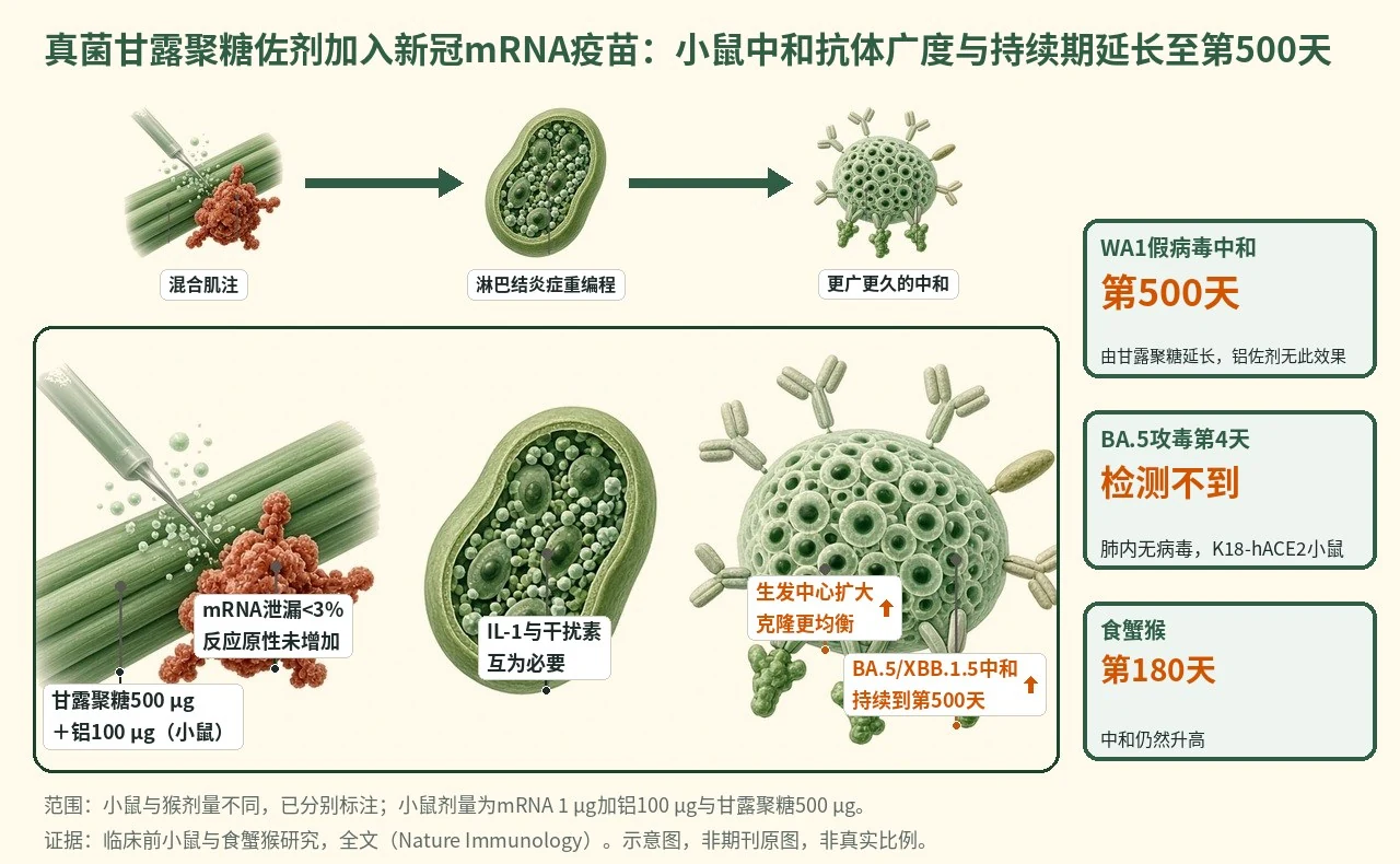 机制示意图