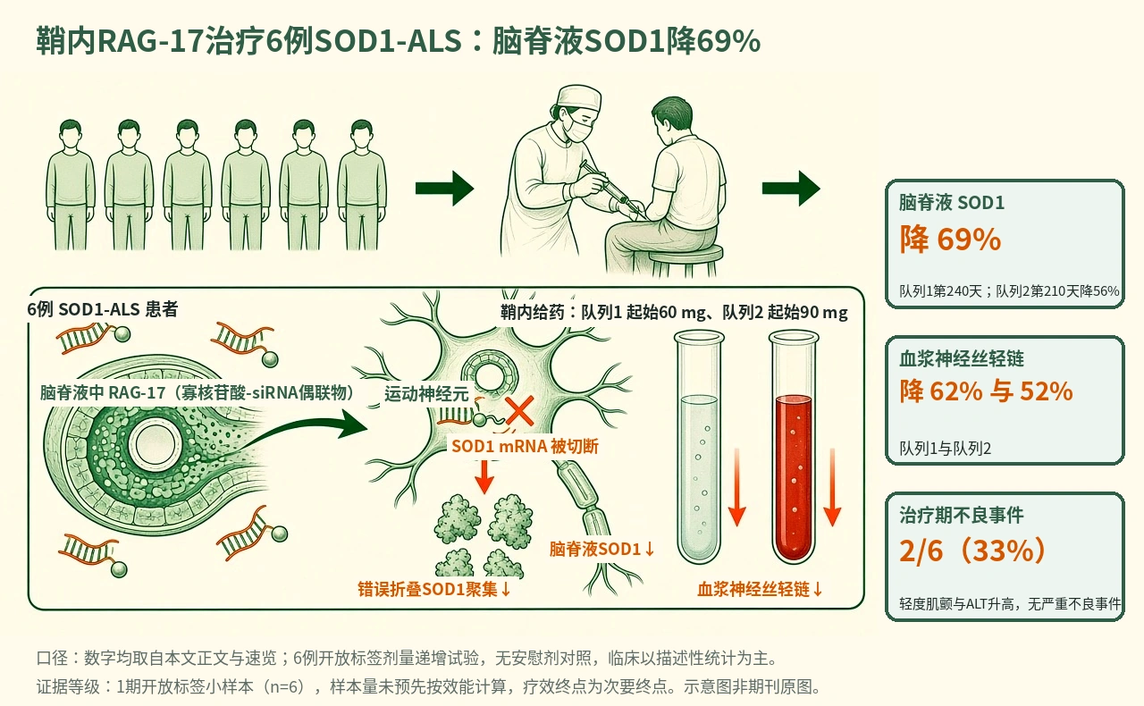 机制示意图