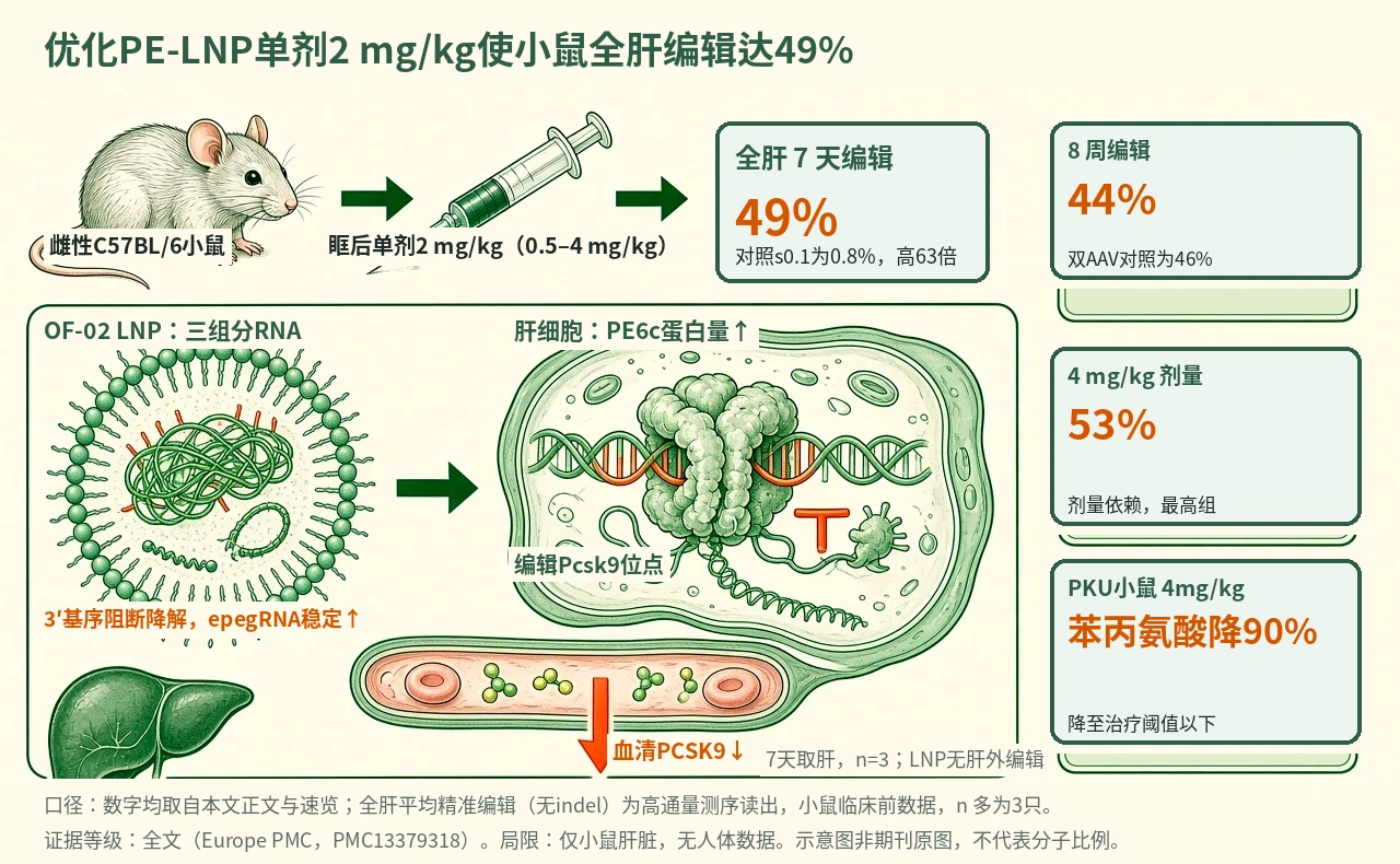 机制示意图