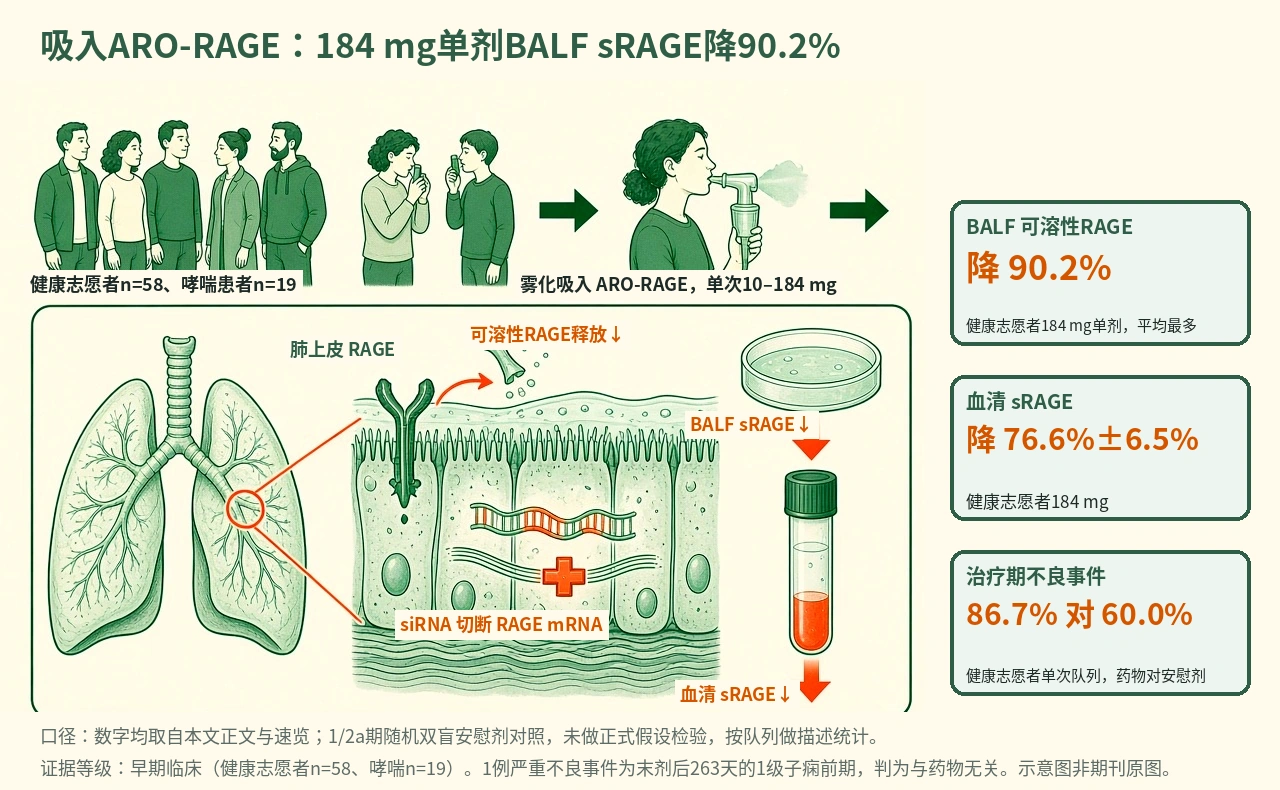 机制示意图